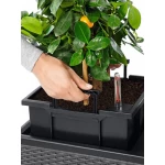 Āra puķu pods Lechuza Trio Cottage 4