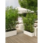 Āra puķu pods Lechuza Trio Cottage 1