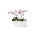 Augu kaste Lechuza Delta Premium 5