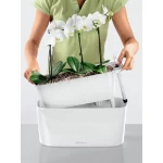 Augu kaste Lechuza Delta Premium 4