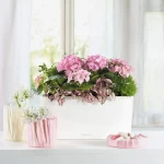 Augu kaste Lechuza Delta Premium 6