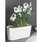 Augu kaste Lechuza Delta Premium 2