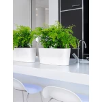 Augu kaste Lechuza Delta Premium 3