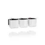 Lechuza Cube Premium zaļo augu sienas komplekts 