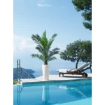 Plastmasas puķu pods Lechuza Delta 1