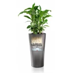 Plastmasas puķu pods Lechuza Delta 2