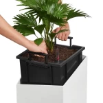 Puķu pods Lechuza Cursivo 4