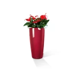 Elegants augu pods Lechuza Rondo 6