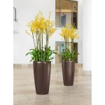 Elegants augu pods Lechuza Rondo 7