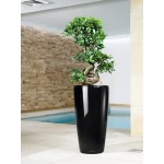 Elegants augu pods Lechuza Rondo 4