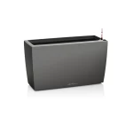 Stilīgs puķu pods Lechuza Cararo