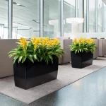 Stilīgs puķu pods Lechuza Cararo 3