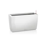 Stilīgs puķu pods Lechuza Cararo