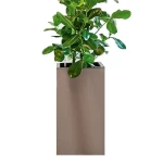 Augsts taisnstūra kolonnas pods Lechuza Canto 6