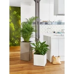 Augsts taisnstūra kolonnas pods Lechuza Canto 5