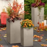 Augsts taisnstūra kolonnas pods Lechuza Canto 2