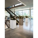 Augsts taisnstūra kolonnas pods Lechuza Canto 3