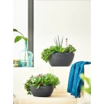 Gudrais puķu pods Lechuza Cubeto Color 1