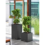 Taisnstūra kolonnas puķu pods Lechuza Canto Stone 1