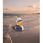 Jautra dāvana tiem, kam patīk jūra, jūras pīle 1