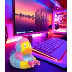 Dāvanu vannas pīle Gamer 1