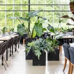 Āra puķu pods Lechuza Canto Stone 1