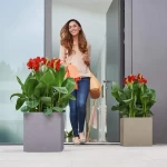 Āra puķu pods Lechuza Canto Stone 1