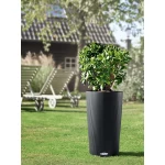 Stilīgs cilindriskas formas puķu pods Lechuza Cilindro Color 1