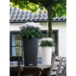 Stilīgs cilindriskas formas puķu pods Lechuza Cilindro Color 1