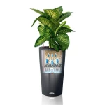 Stilīgs cilindriskas formas puķu pods Lechuza Cilindro Color 3