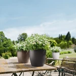 Krāsains puķu pods Lechuza Classico Color 4