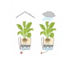 Krāsains puķu pods Lechuza Classico Color 4