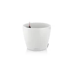 Krāsains puķu pods Lechuza Classico Color