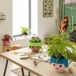 geliu vazonas lechuza interjere 6