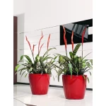 Klasiskais pods Lechuza Classico LS 1