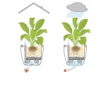 Klasiskais pods Lechuza Classico LS 6