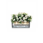 Stilīgs puķu pods Lechuza Balconera Stone 3