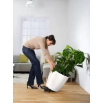 Lechuza ritenīši podu pārnēsāšanai 3