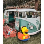 Jautra dāvana draugam Jamaikas pīlei 1