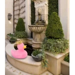 Zīmuļu pīle ar vainagu 1