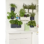 Zaļās sienas komplekts Lechuza Cube Color 14 4