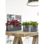 Viedais pods Lechuza Cube Glossy Triple 1