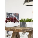 Viedais pods Lechuza Cube Glossy Triple 1