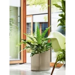 Puķu pods Lechuza Cursivo 6