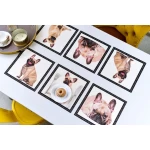 Franču buldogu paliktņu komplekts 1