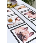 Franču buldogu paliktņu komplekts