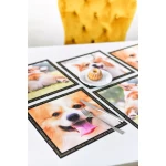 Paliktņu komplekts suņiem Corgis