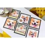 Paliktņu komplekts suņiem Corgis 1