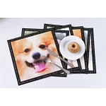 Paliktņu komplekts suņiem Corgis 2