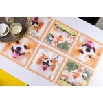 Paliktņu komplekts suņiem Corgis 1